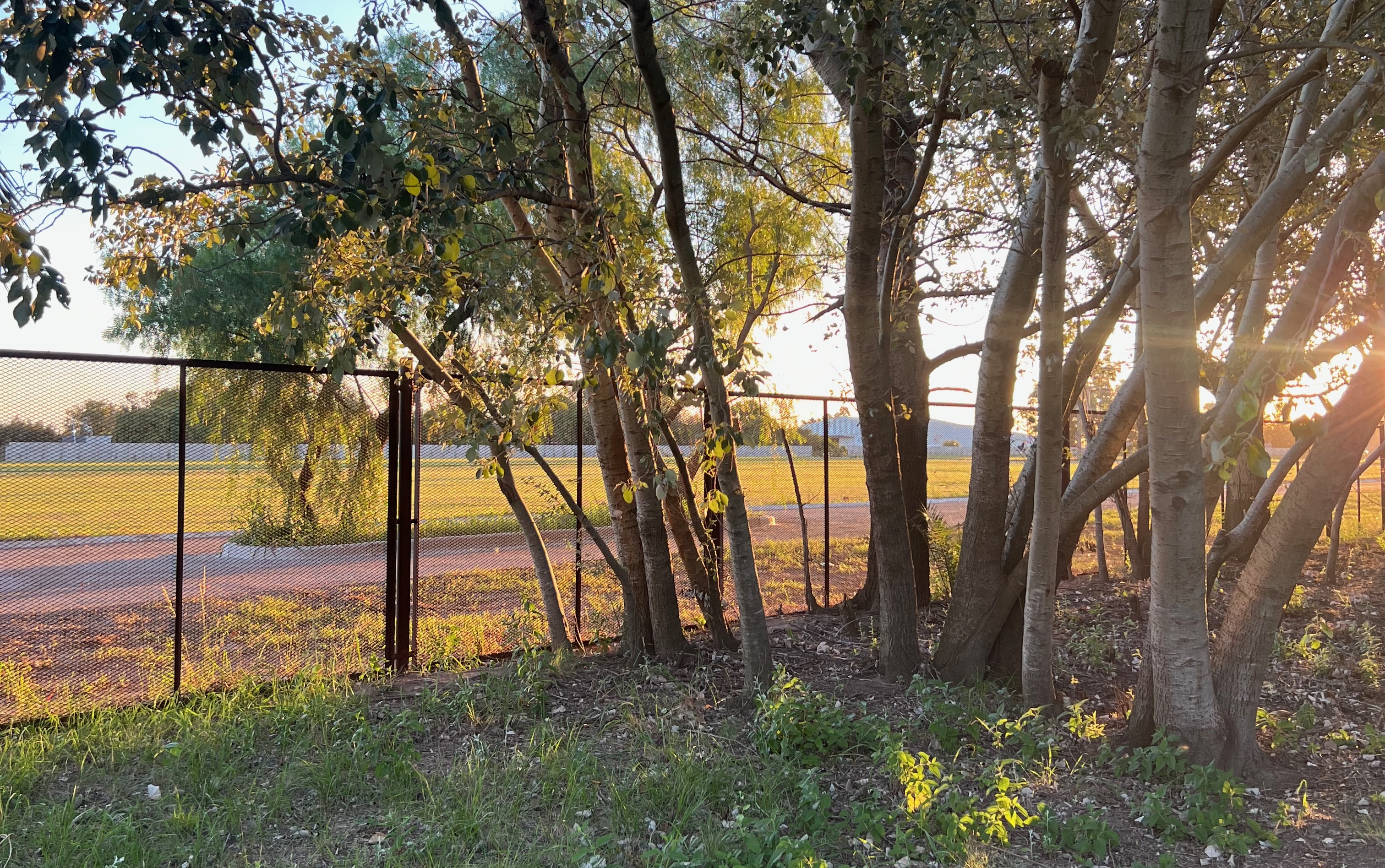 Atardecer en el predio