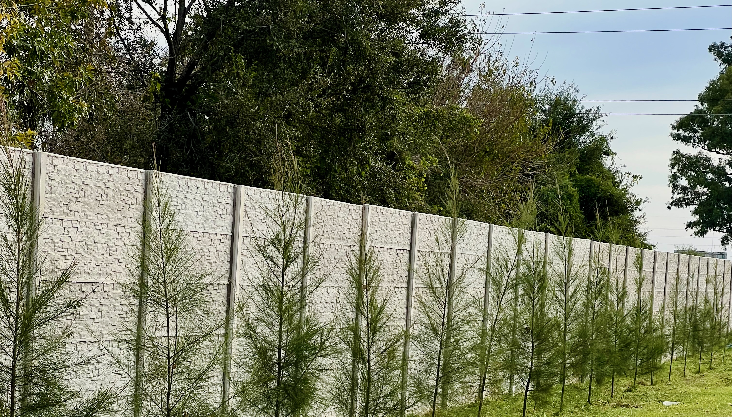 Muro perimetral