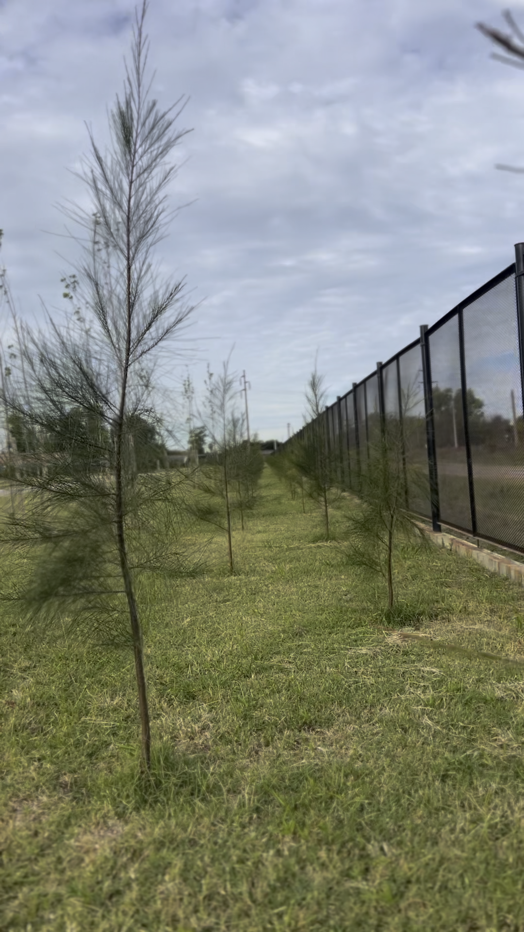 Seguridad en La Aureliana Village